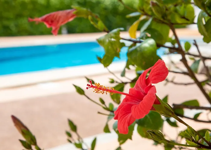 Island * קאלה אן בלאנס