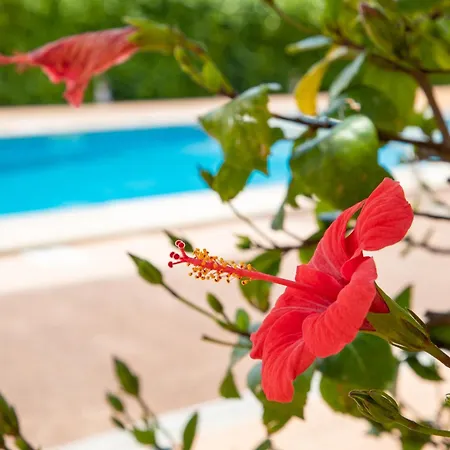 Island * Cala'N Blanes (Menorca)